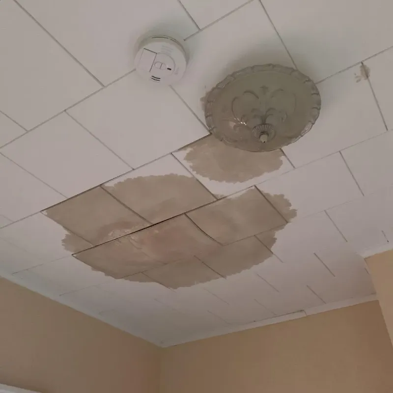 Ceiling Water Damage Repair in Beverly, TX